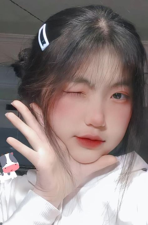 生活启示录电视剧免费观看